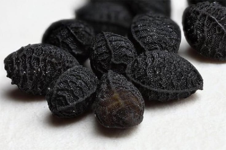 Black Seeds