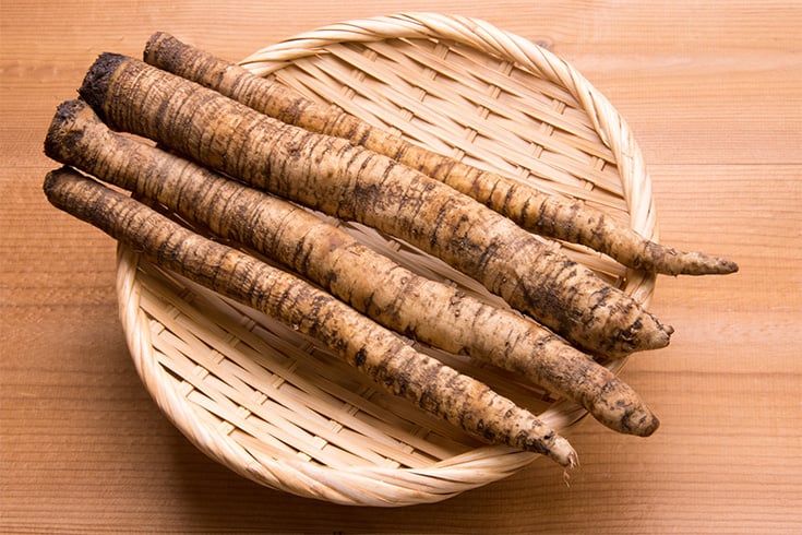 Burdock Root