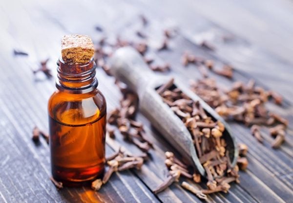 Tinh dầu đinh hương mang đến nhiều công dụng trong làm đẹp