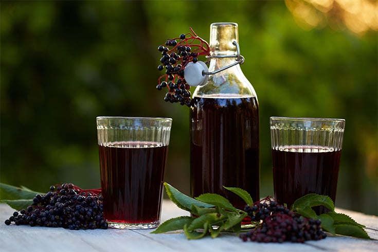 Elderberry Syrup