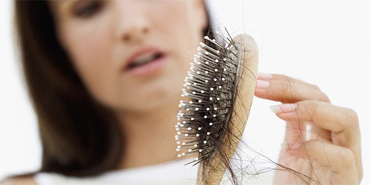 Lavender Treats Hair Loss