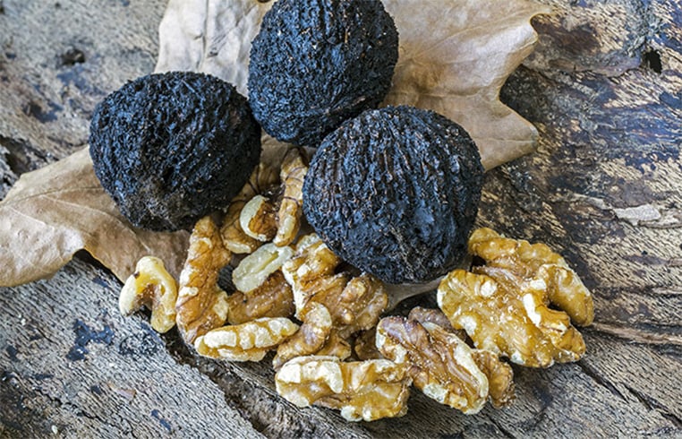 Black Walnut Tincture for Cavities