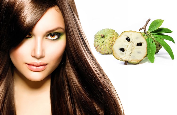 Benefits of Custard Apple for Hair