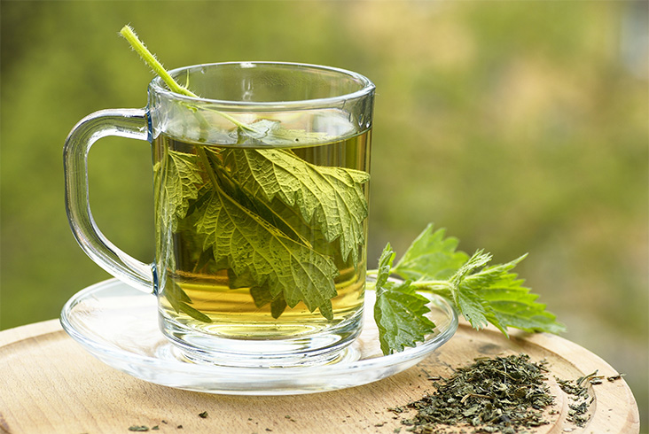 Nettle Leaves for Runnu Nose