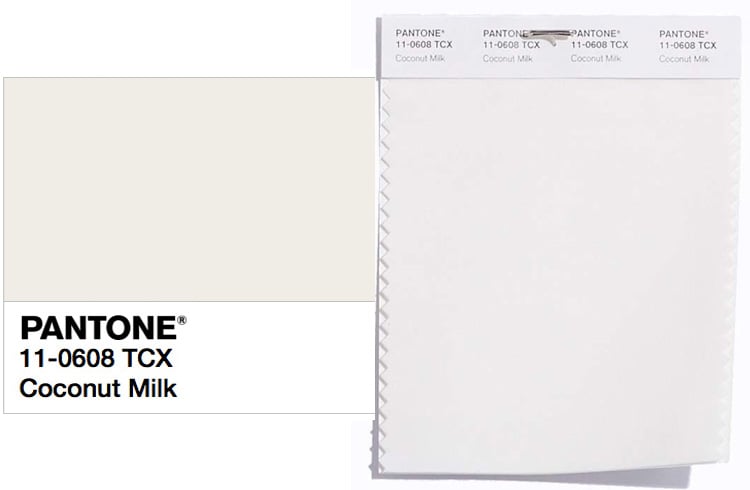 Pantone 11-0608 coconut milk