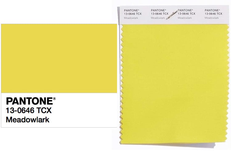 PANTONE 13-0646 Meadowlark