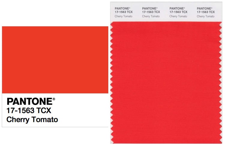 PANTONE 17-1563 Cherry Tomato