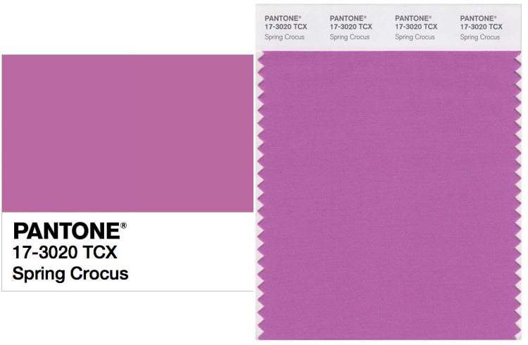 PANTONE 17-3020 Spring Crocus