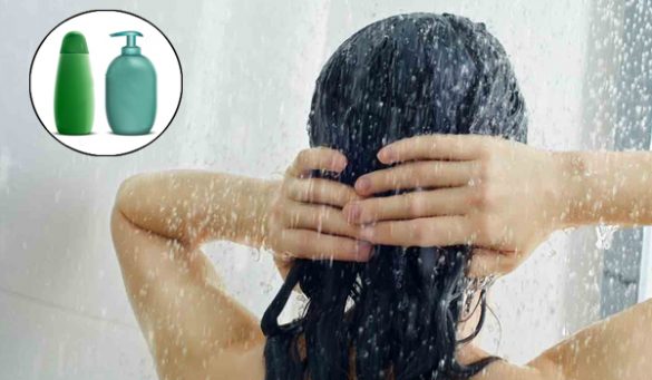 Best Dandruff Shampoos