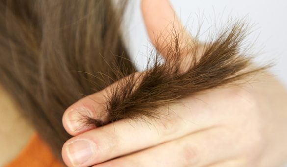 Split Ends For Hair