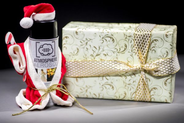 Top 11 Christmas Gift Ideas For Your Photographer Friends