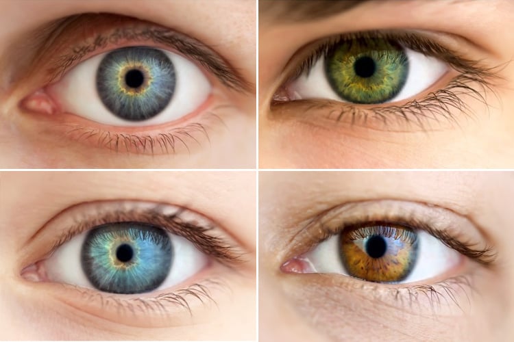 Eye Iris Color Chart