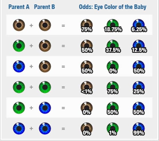 Eye Color Determination Charts