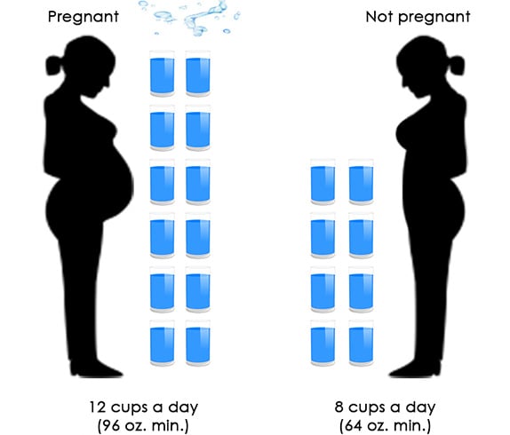 How Much To Drink Water Daily