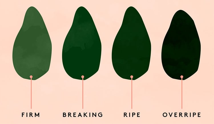 How to Tell If the Avocado Is Ripe