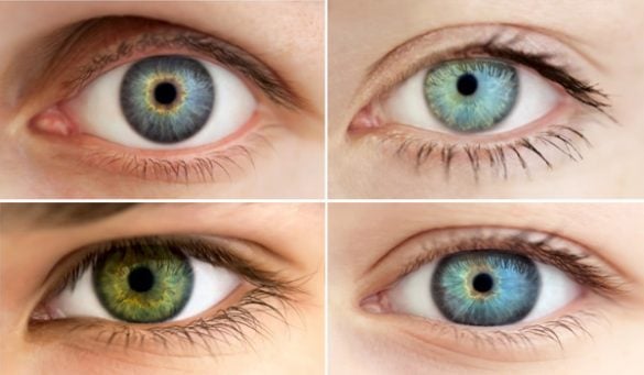 Human Eye Color Chart