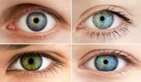 Eye Color Percentage Chart