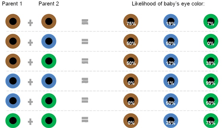 Human Eye Color Charts