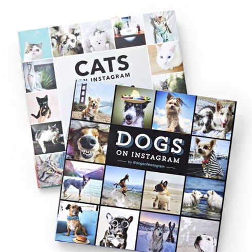 Cats And Dogs Books