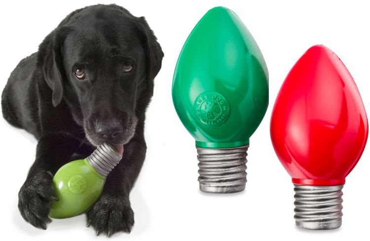 Dog Bulbs