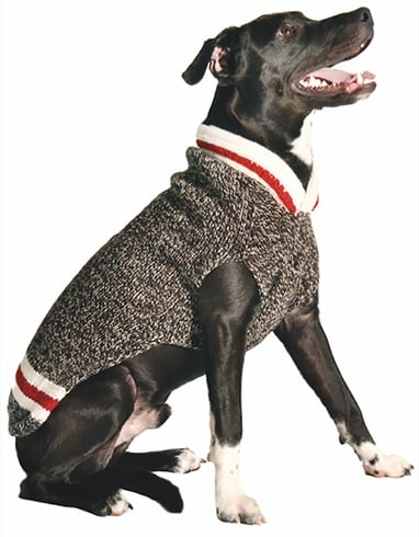 Dog Sweater