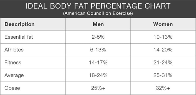 Ideal Body Fat Percentage Chart