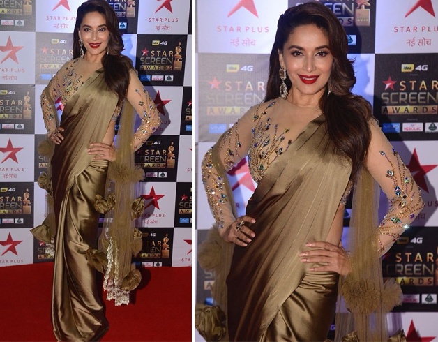 Madhuri Dixit at Star Screen Awards 2017