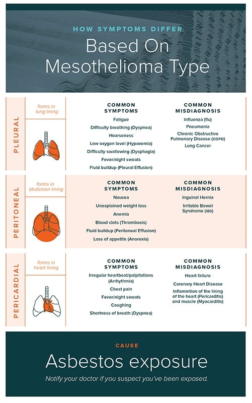 Mesothelioma Types Infographic