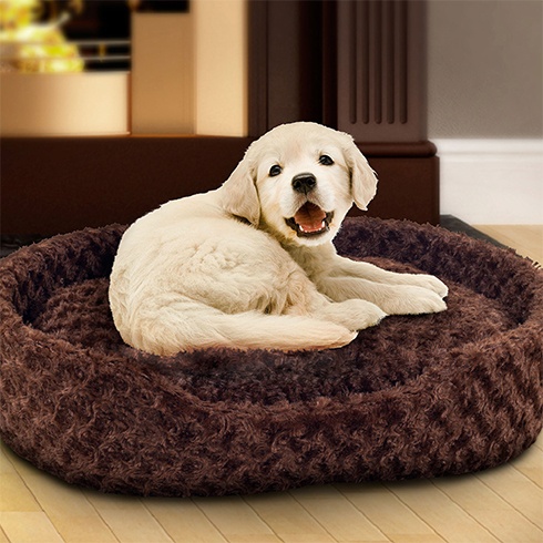 Pet Bed