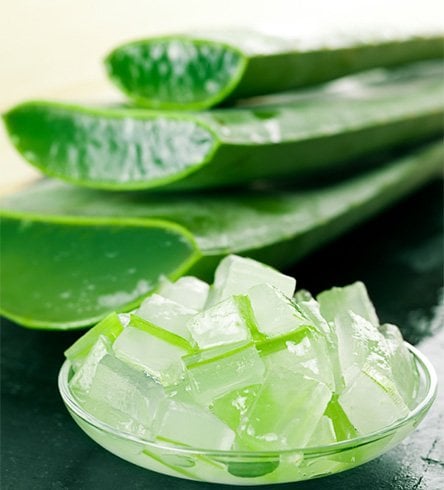 Aloe Vera