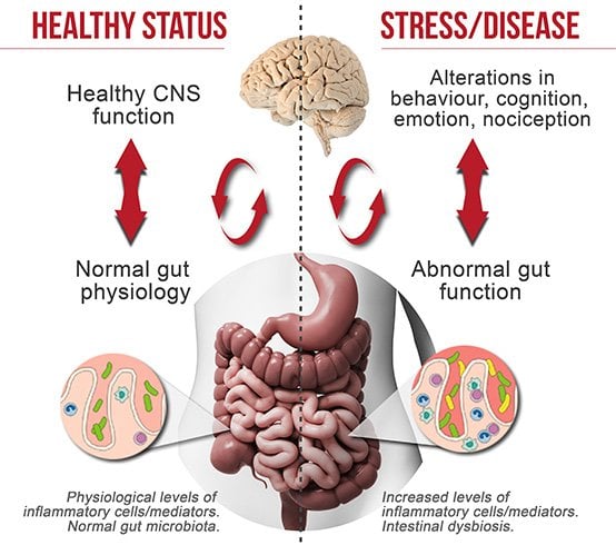 Brain Healthy Status