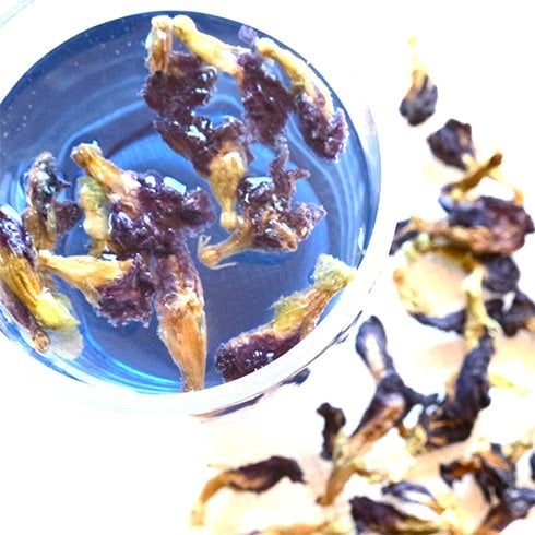 Butterfly Pea Flower Tea