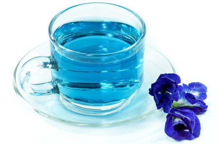 Butterfly Pea Flower Teas