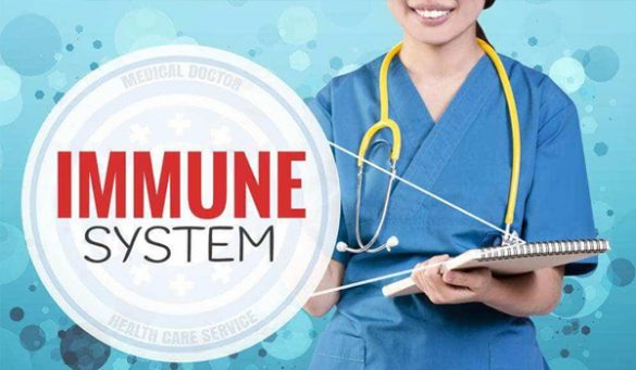 Ways To Increase Immunity Power