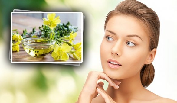 All Benefits Of Evening Primrose Oil