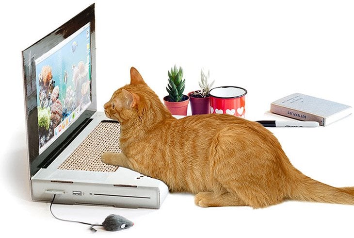 Laptop Cat Scratching Pad