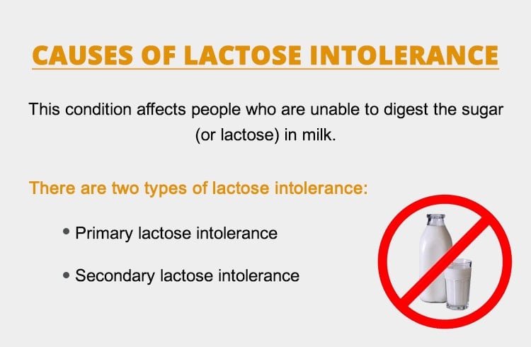 Causes Of Lactose Intolerance