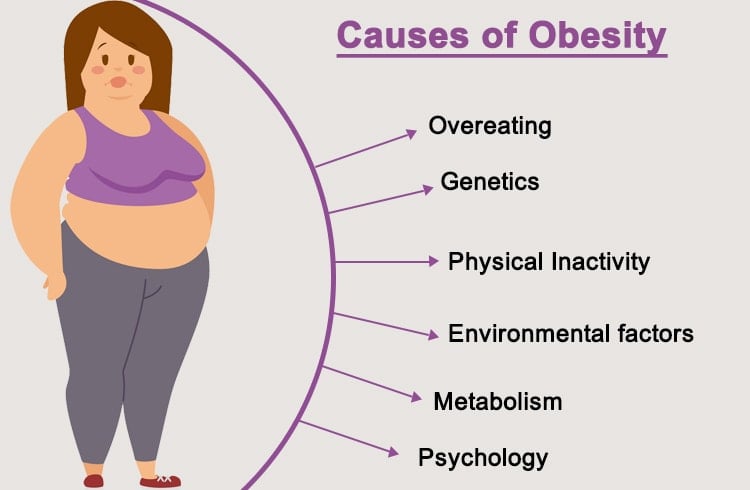 Causes of Obesity