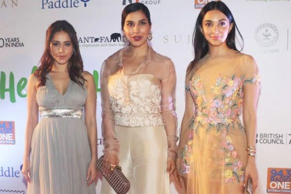 Bollywood Stars At Help The Haathi Event