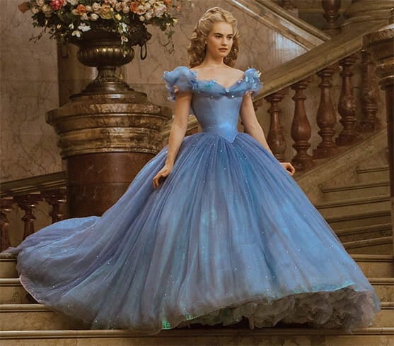 Cinderella Diet Pros And Cons