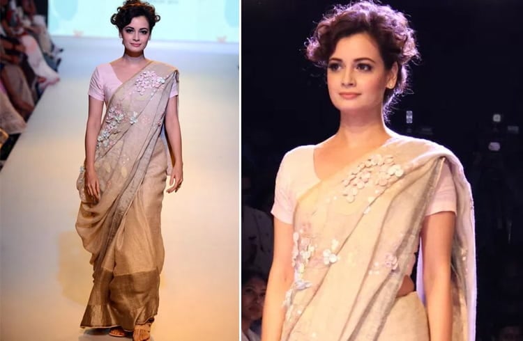 Dia Mirza Saree Styles