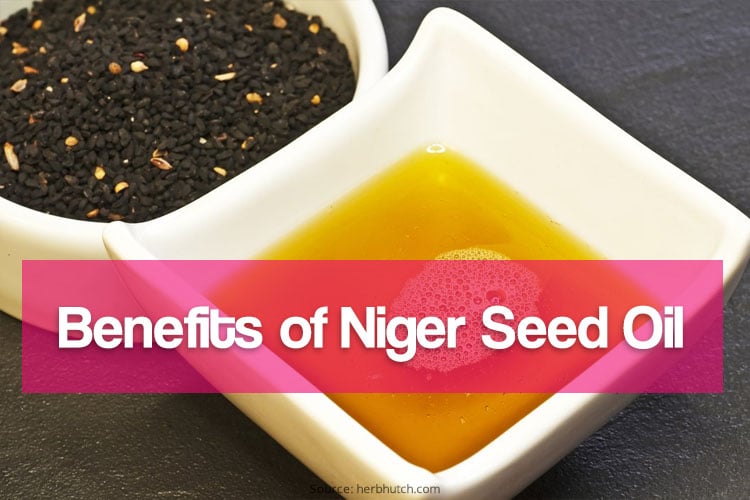 Benefits of Niger Seed Oil