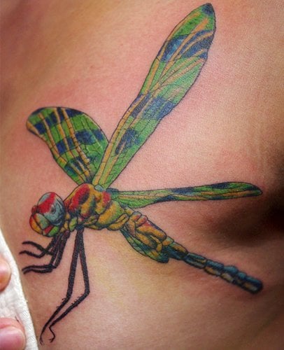 Fairy like Dragonfly Tattoo