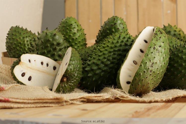 15 Amazing Health Benefits Of Soursop 15 Amazing Health Benefits Of Soursop