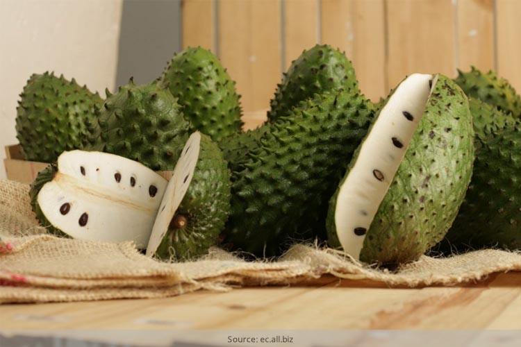 Health Benefits of Soursop