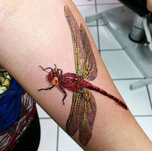 Red and yellow dragonfly tattoo