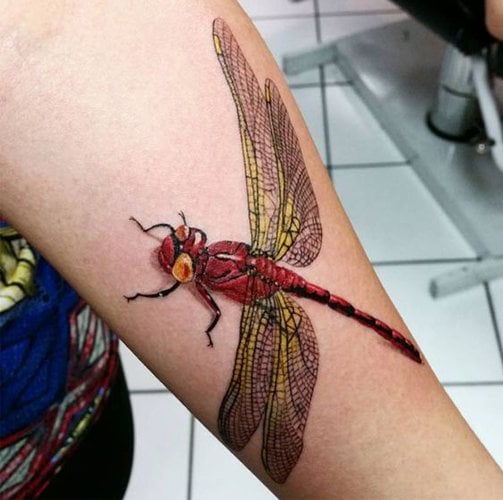 20 Striking Dragonfly Tattoo Ideas For Women  Tikli