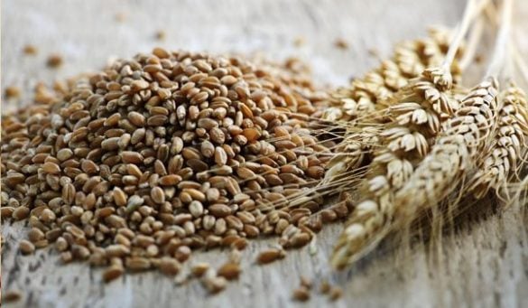 Rye Flour Benefits