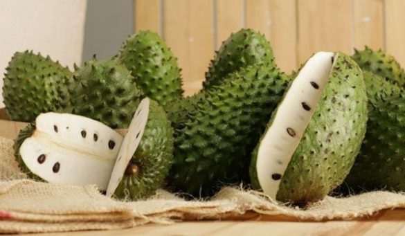 Soursop Fruit