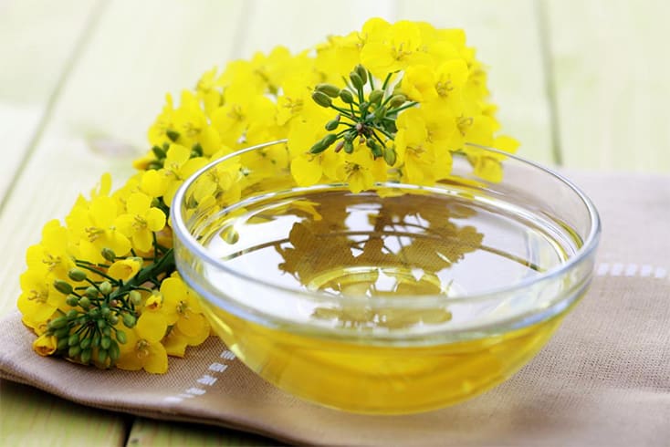 Canola Oil Is Made From